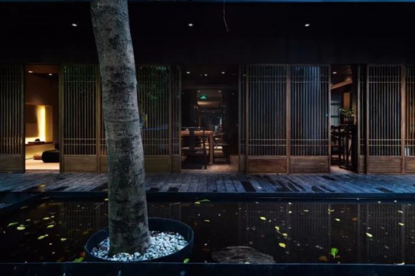 深圳校园热门！学生妹养生茶推荐(深圳学生喝茶)