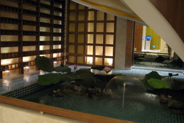 体验深圳特色手推，养生休闲两不误(深圳比较好的手推场)