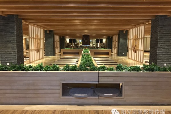 海岸城茶社推荐,养生休闲两不误(海岸城茶楼) 海岸城茶社推荐,养生休闲两不误(海岸城茶楼)